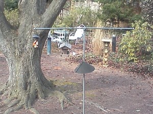  The birdfeeders, all filled and waiting